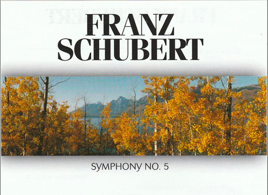 Schubert, 5. Sinfonie, 2. Satz